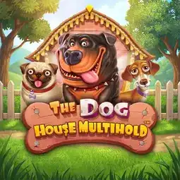 The Dog House Multihold game at Best Crypto Casino for United Kingdom players The Dog House Multihold game at Best Crypto Casino for United Kingdom players